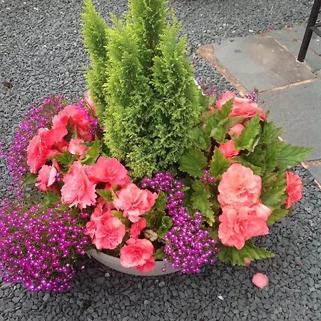 Πανσιόν Thornbank House Offering Breakfast And With The Use Of Free Local Health Club